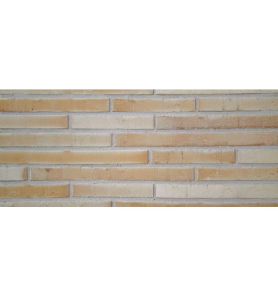 Klinkerinės plytos Gima-Ziegel Tione